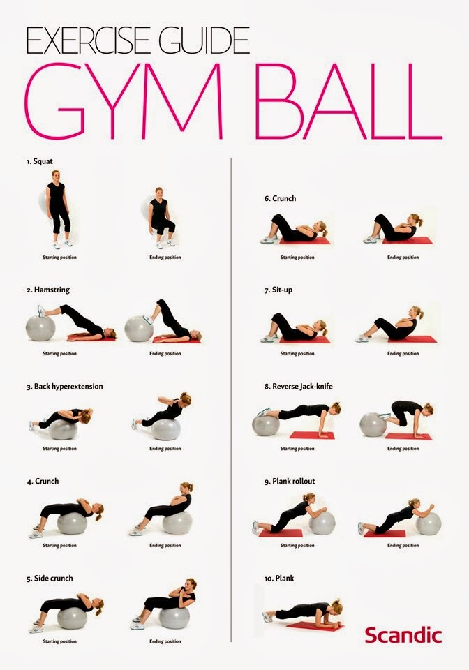 WORKOUT GUIDE FOR BEGINNERS EBOOK DOWNLOAD WORKOUT GUIDE FOR BEGINNERS EBOOK DOWNLOAD
